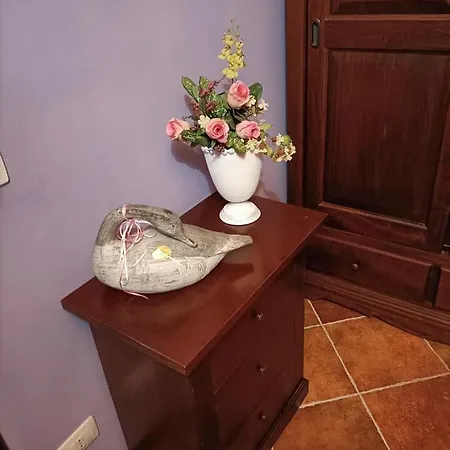Bed and Breakfast Paradiso