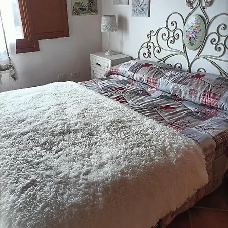 Bed and Breakfast Paradiso *