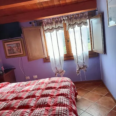 Paradiso تيمبيو باوسانيا